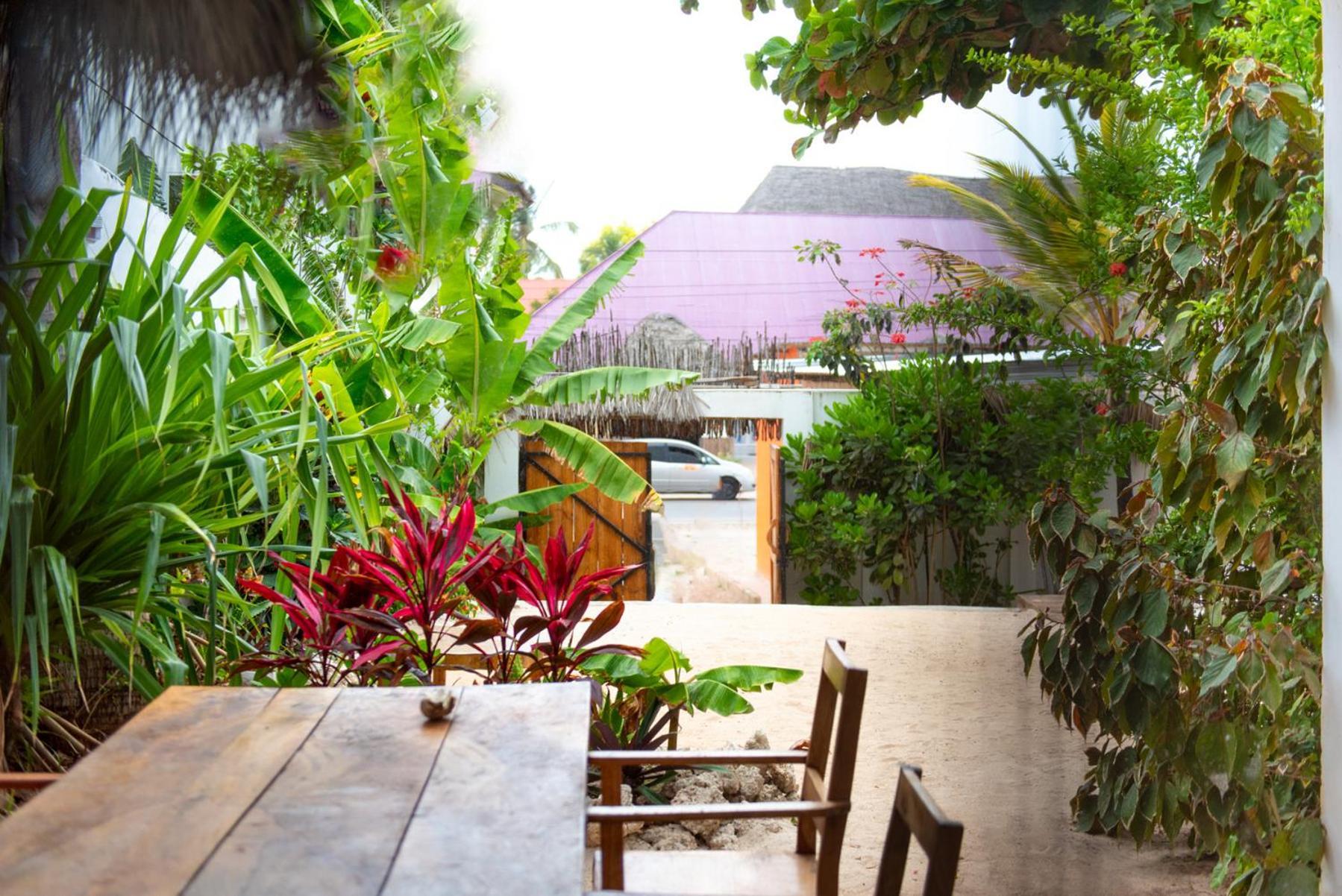 Dar Mar Hostel & Coworking Paje Exterior photo
